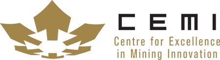 CEMI Logo